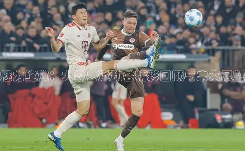 魅力绽放：大荔县运动会精彩回顾与未来展望