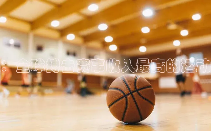 ：全球搏击赛事收入最高的运动