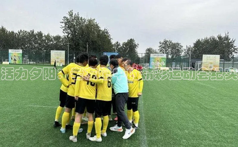 活力夕阳：老友记中的精彩运动会纪实